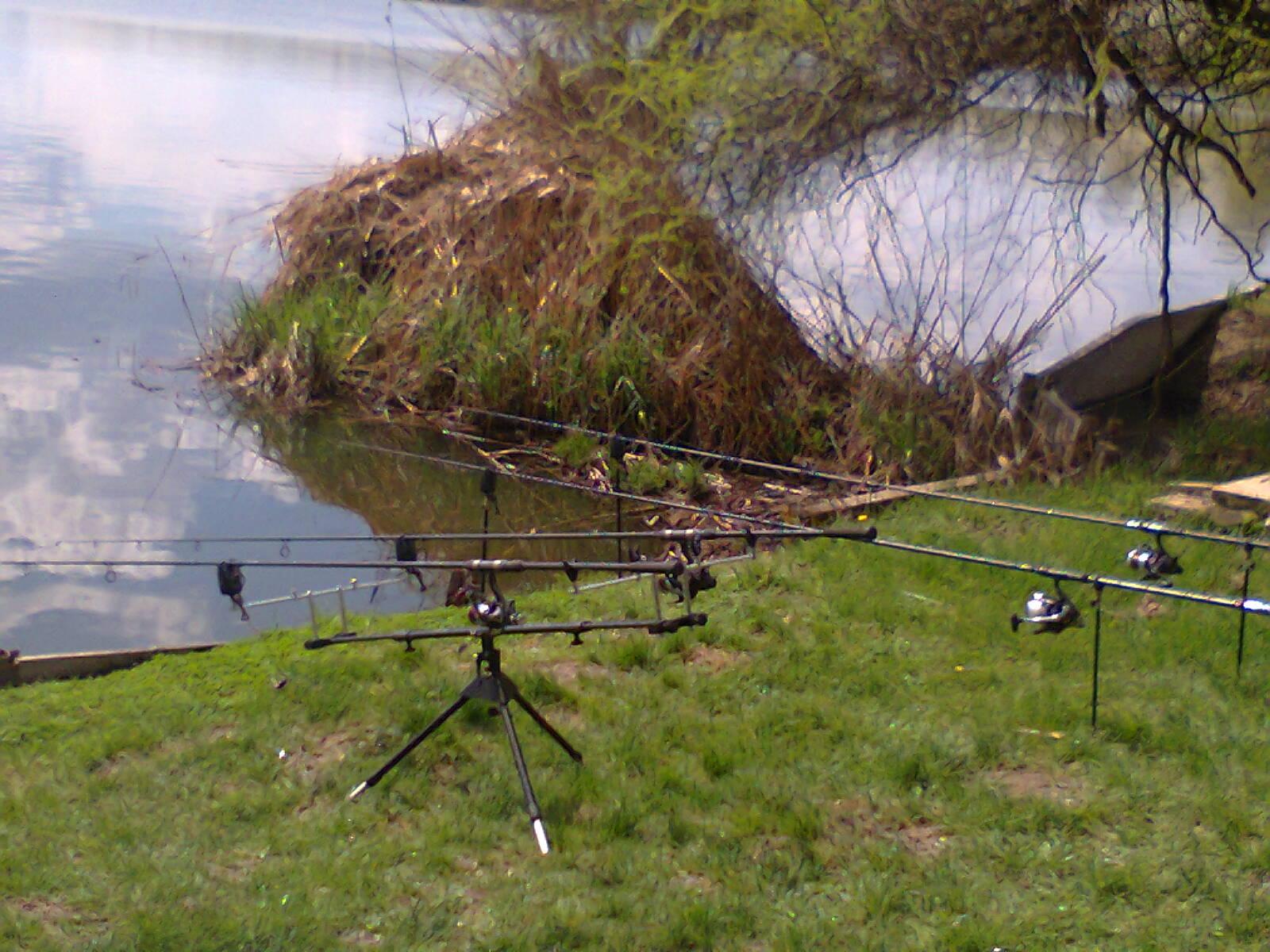 Tancabesti - fotografie0036.jpg